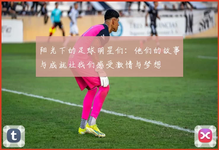 阳光下的足球明星们：他们的故事与成就让我们感受激情与梦想