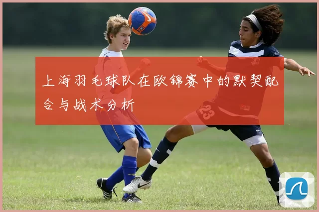 上海羽毛球队在欧锦赛中的默契配合与战术分析