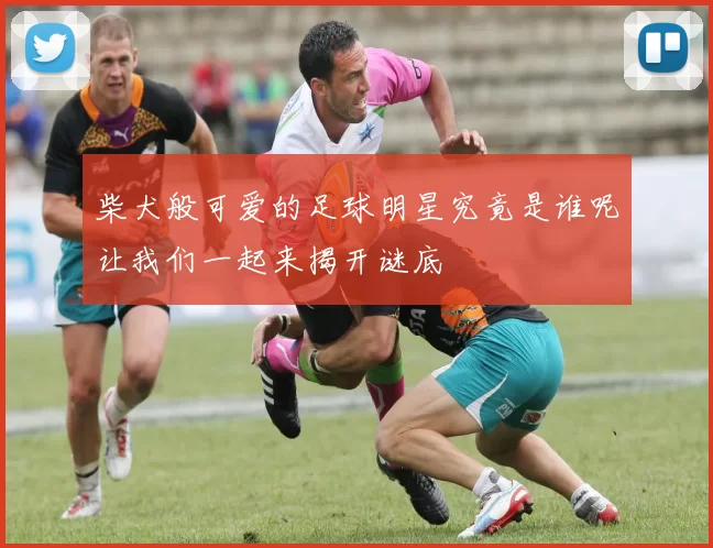 柴犬般可爱的足球明星究竟是谁呢让我们一起来揭开谜底