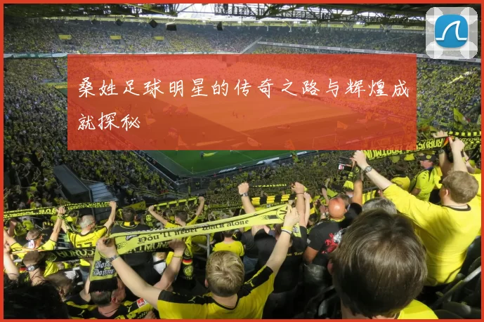 桑姓足球明星的传奇之路与辉煌成就探秘