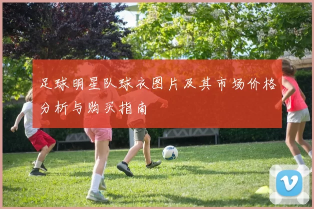 足球明星队球衣图片及其市场价格分析与购买指南