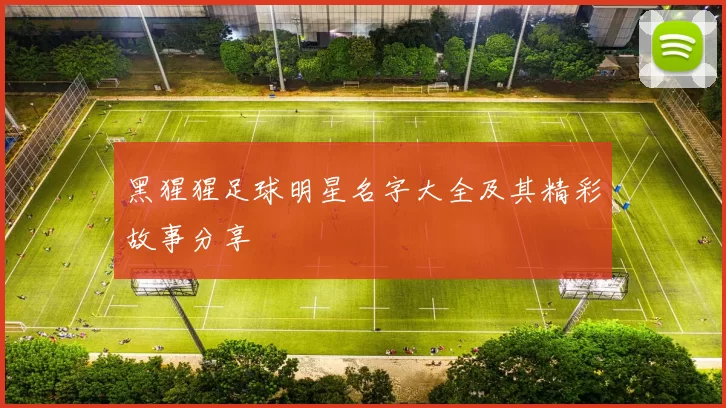 黑猩猩足球明星名字大全及其精彩故事分享