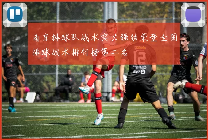 南京排球队战术实力强劲荣登全国排球战术排行榜第二名