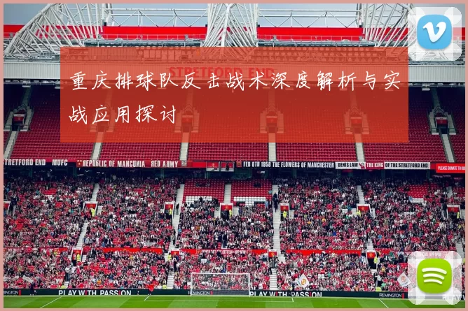 重庆排球队反击战术深度解析与实战应用探讨