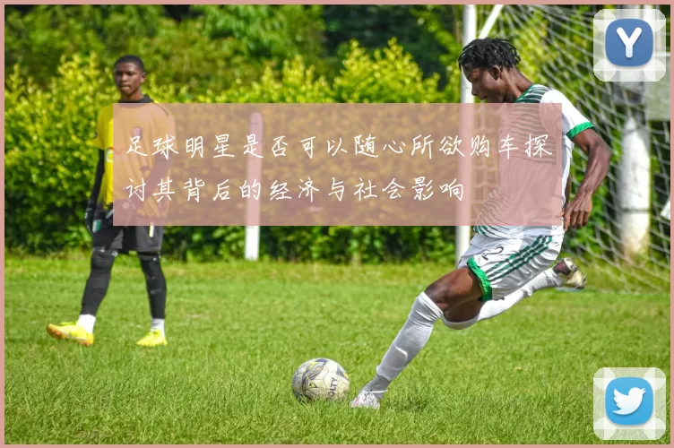 足球明星是否可以随心所欲购车探讨其背后的经济与社会影响