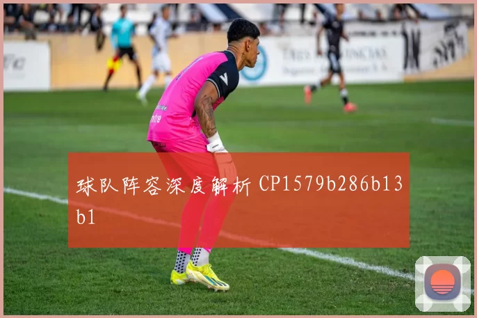 球队阵容深度解析 CP1579b286b13b1