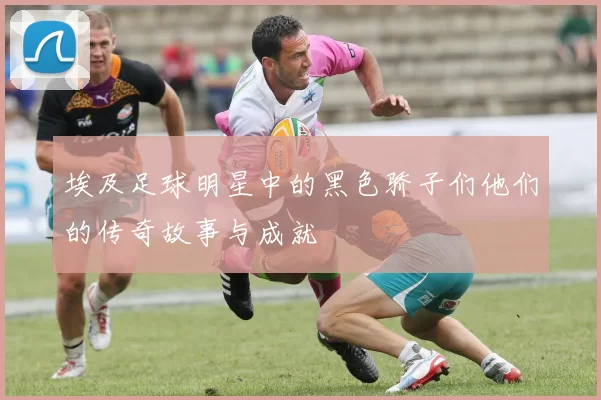 埃及足球明星中的黑色骄子们他们的传奇故事与成就