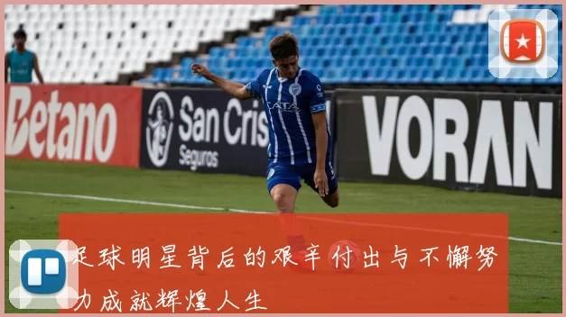 足球明星背后的艰辛付出与不懈努力成就辉煌人生