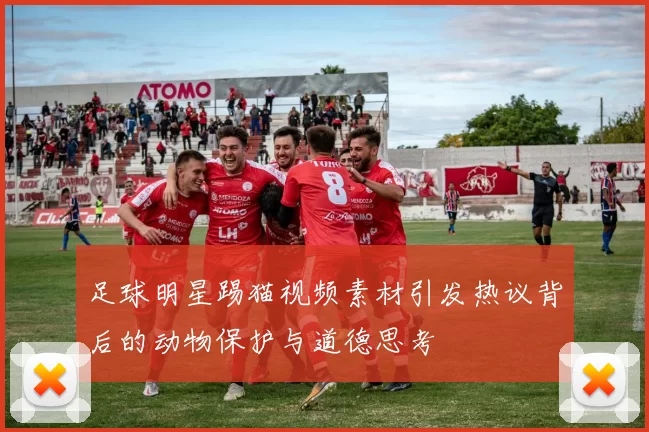 足球明星踢猫视频素材引发热议背后的动物保护与道德思考