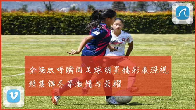 全场欢呼瞬间足球明星精彩表现视频集锦尽享激情与荣耀